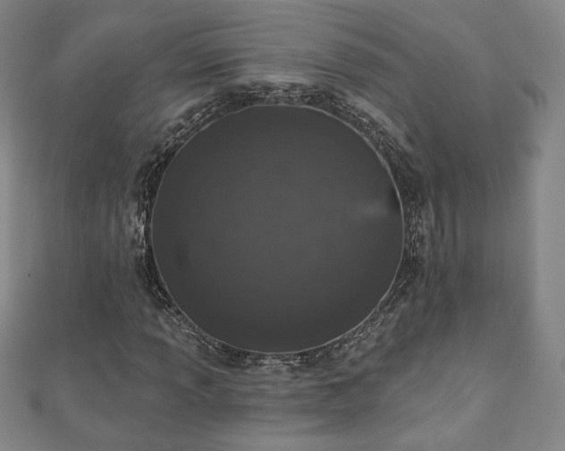 X0000110861013200906181137