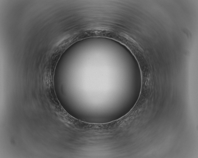 X0000110861014200906181137