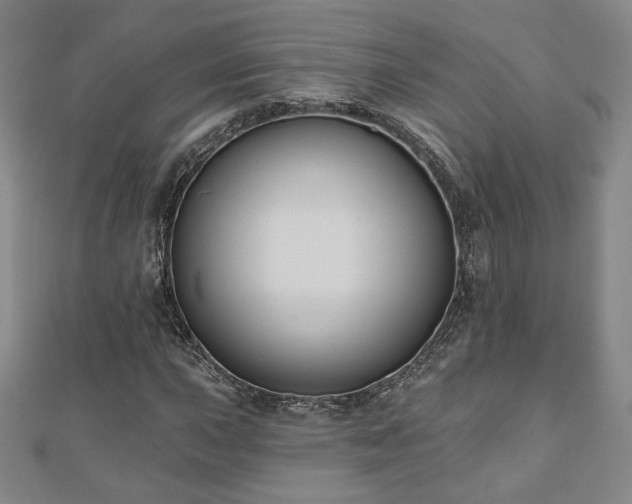 X0000110861015200906181137