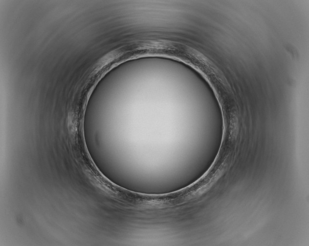 X0000110861017200906181137