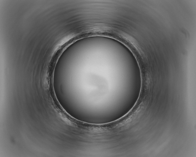X0000110861018200906181137