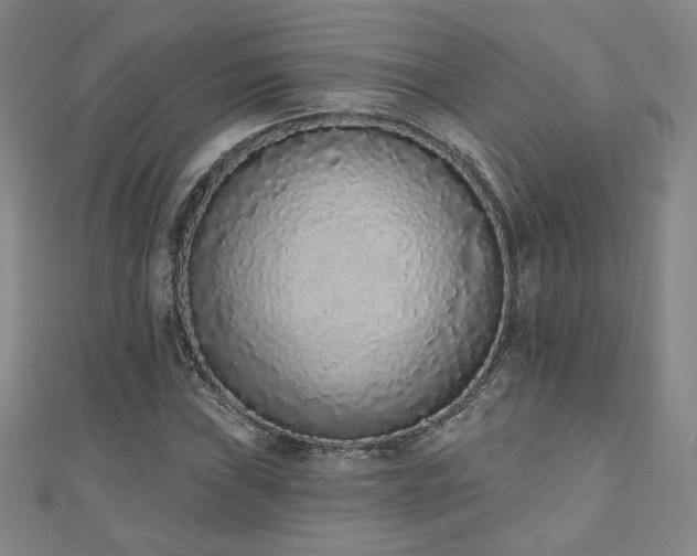 X0000110861019200906181137