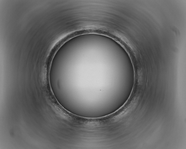 X0000110861021200906181137