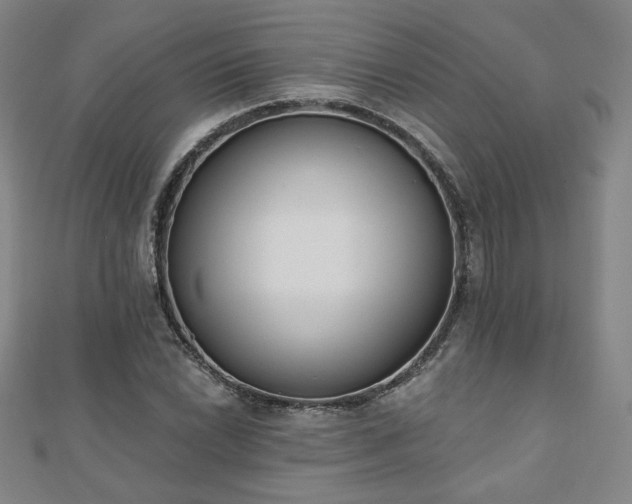 X0000110861022200906181137