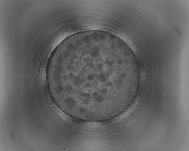 X0000110861023200906181137