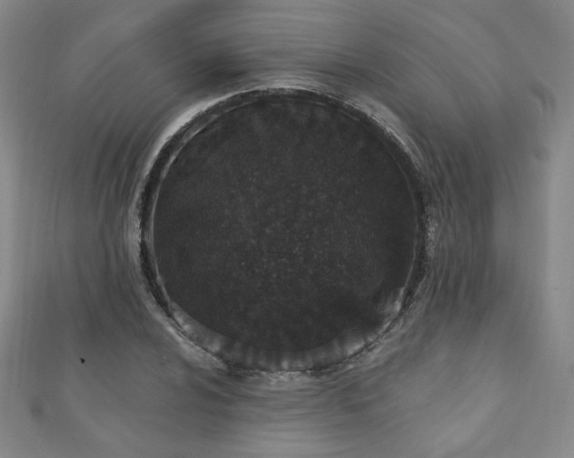X0000110861024200906181137