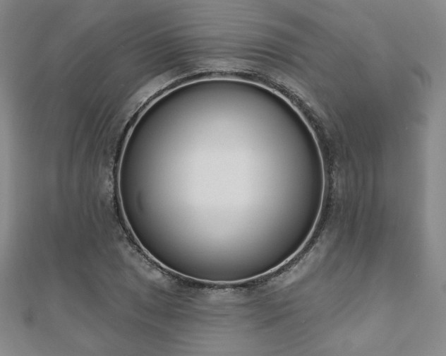 X0000110861025200906181137