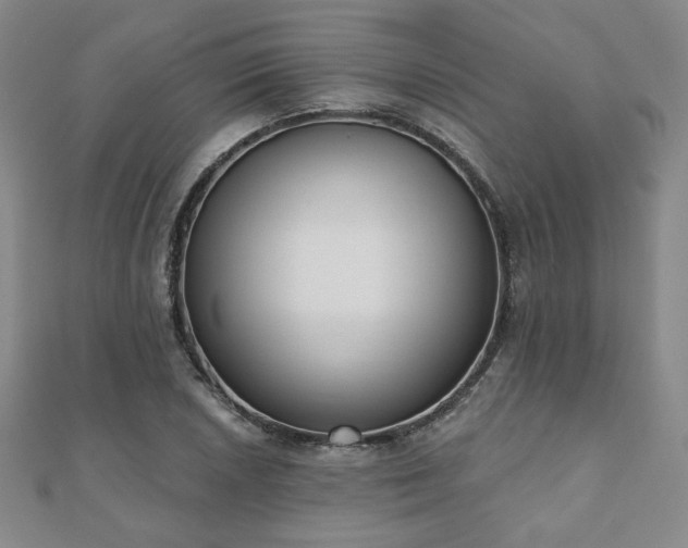 X0000110861026200906181137
