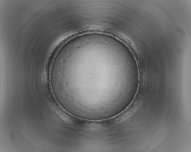 X0000110861027200906181137