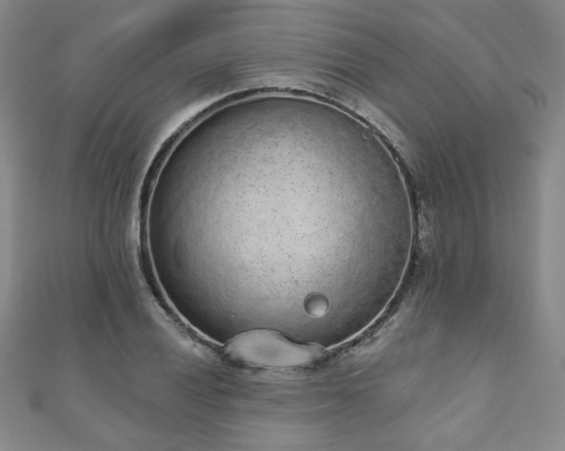X0000110861028200906181137