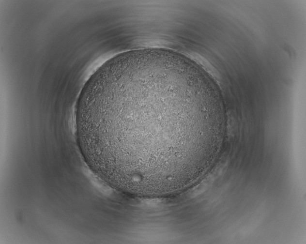 X0000110861031200906181137