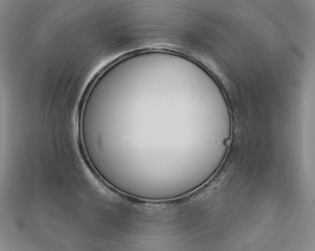 X0000110861032200906181137
