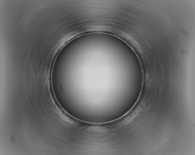 X0000110861033200906181137