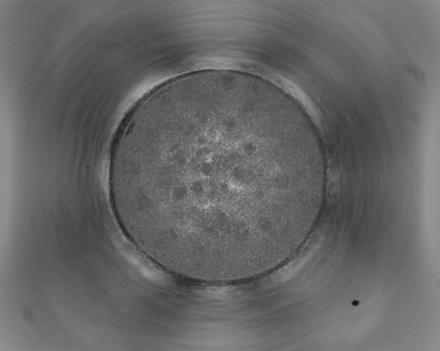 X0000110861035200906181137