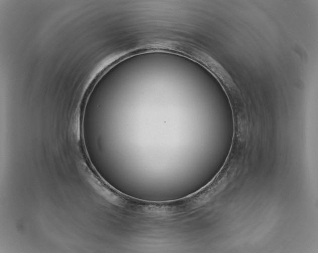 X0000110861036200906181137