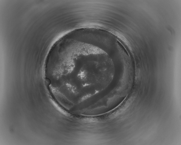 X0000110861037200906181137