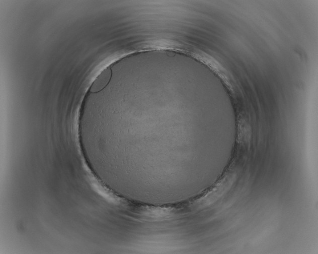 X0000110861039200906181137