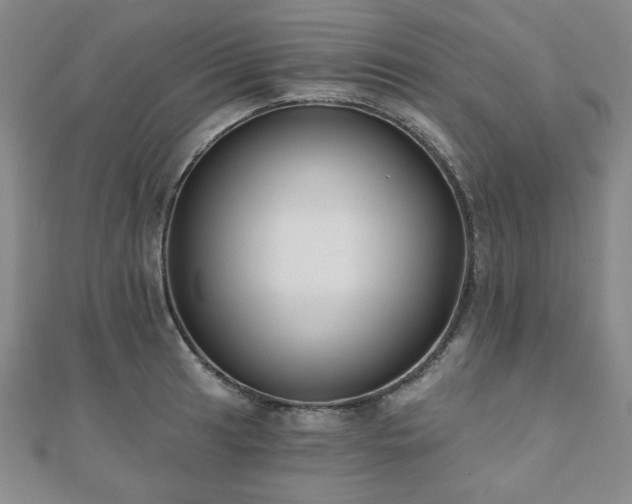 X0000110861041200906181137