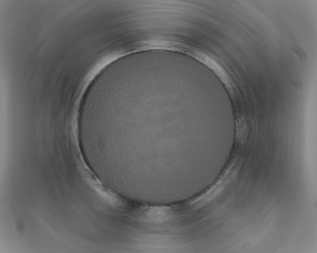 X0000110861043200906181137