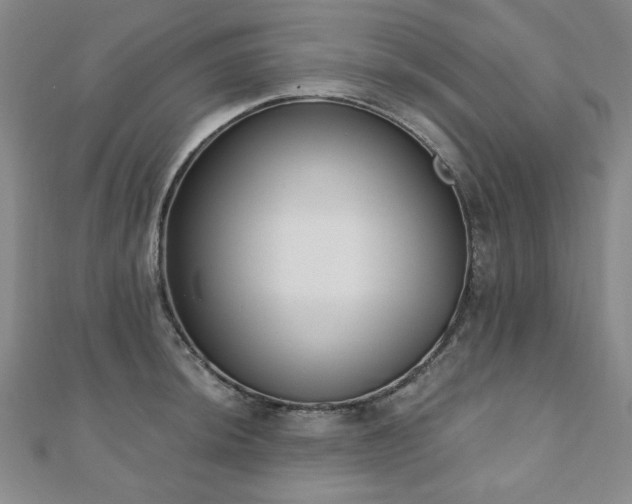 X0000110861044200906181137
