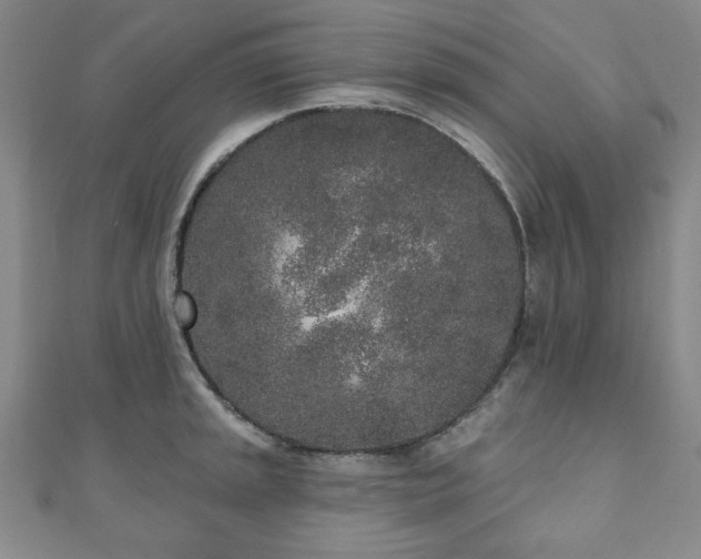 X0000110861045200906181137