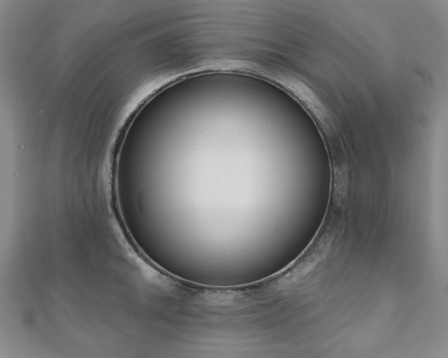 X0000110861046200906181137