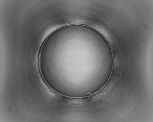 X0000110861047200906181137