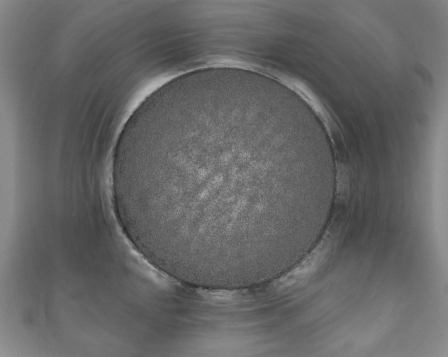 X0000110861048200906181137