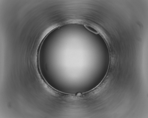 X0000110861050200906181137