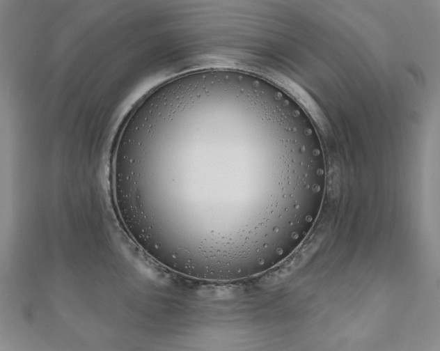 X0000110861051200906181137