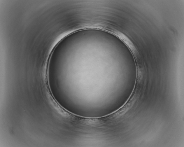 X0000110861052200906181137