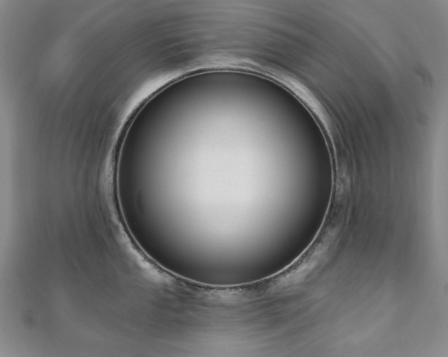 X0000110861053200906181137