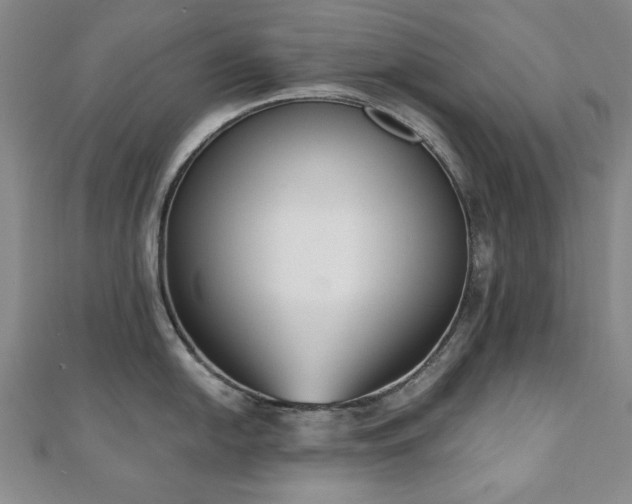 X0000110861054200906181137