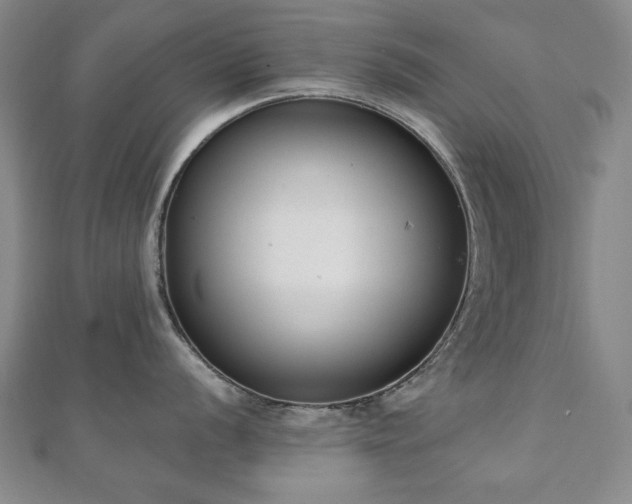 X0000110861056200906181137