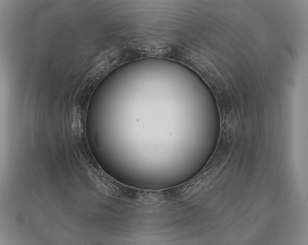 X0000110861058200906181137