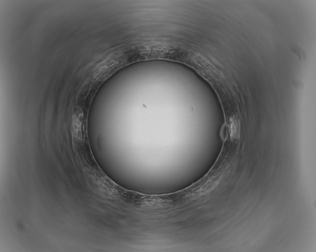 X0000110861059200906181137