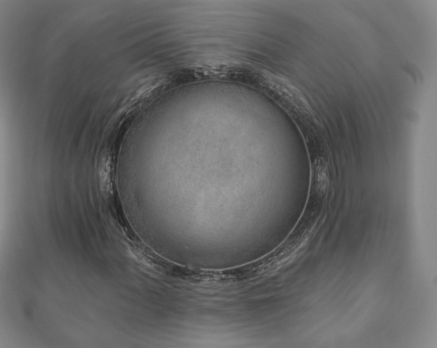 X0000110861060200906181137