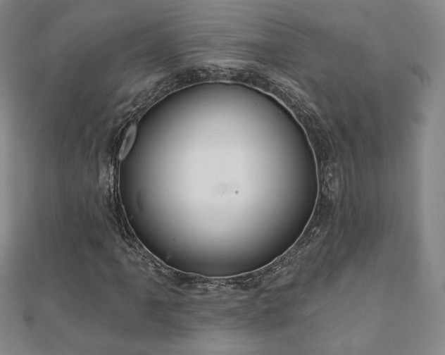 X0000110861061200906181137