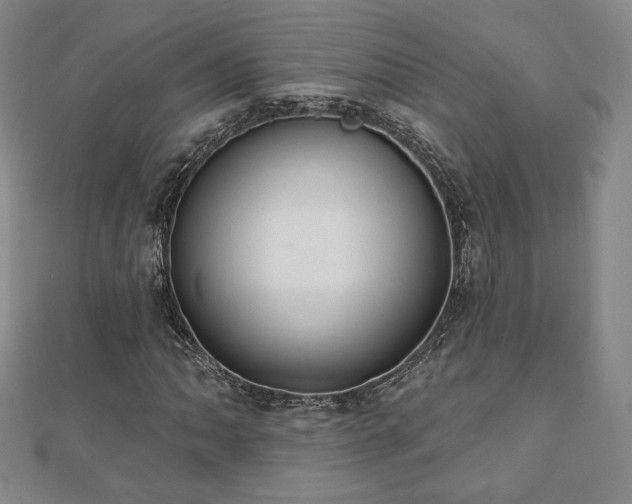 X0000110861062200906181136