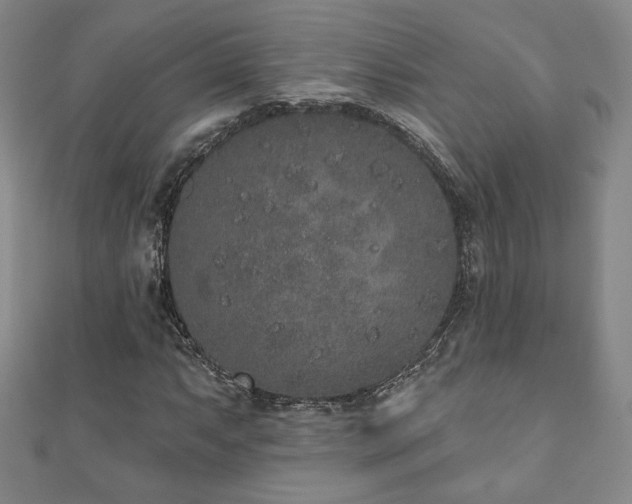 X0000110861063200906181136