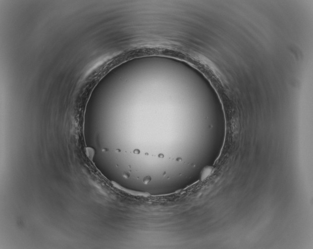 X0000110861064200906181136