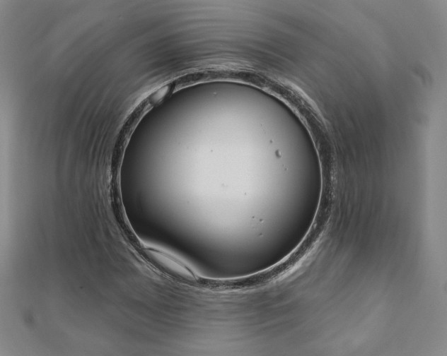 X0000110861065200906181136