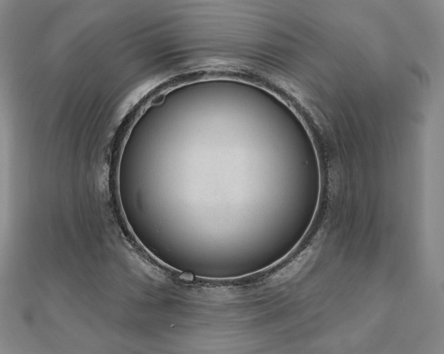 X0000110861066200906181136