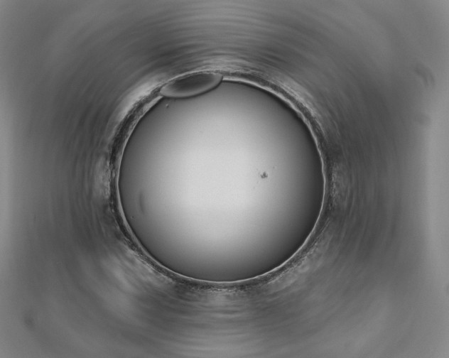 X0000110861067200906181136
