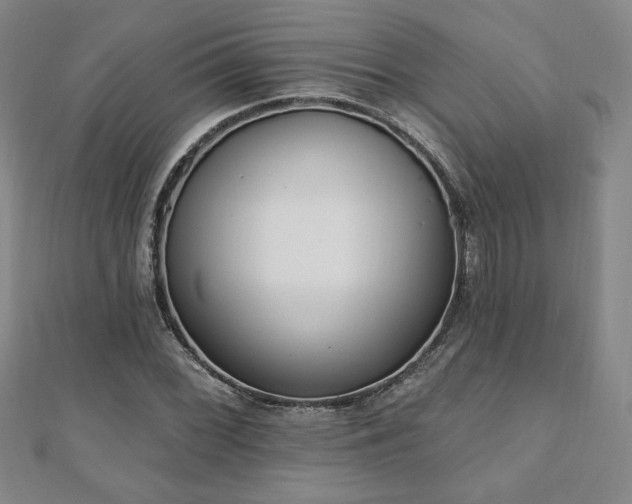 X0000110861068200906181136