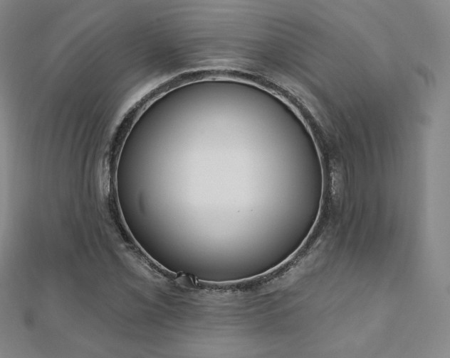 X0000110861069200906181136
