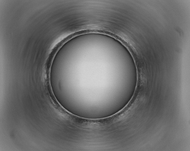 X0000110861070200906181136