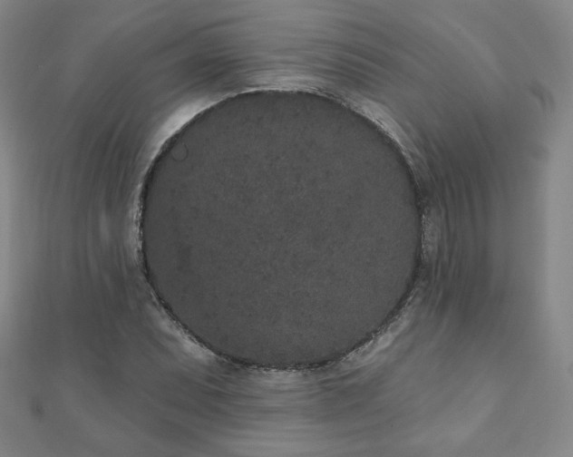 X0000110861071200906181136