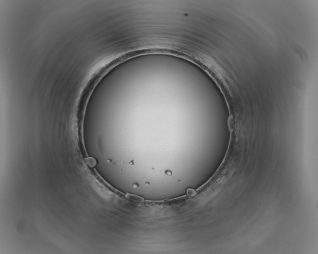 X0000110861072200906181136