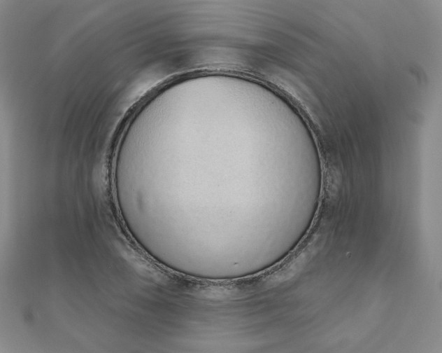 X0000110861074200906181136